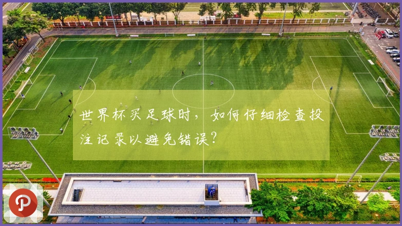 世界杯买足球时，如何仔细检查投注记录以避免错误？