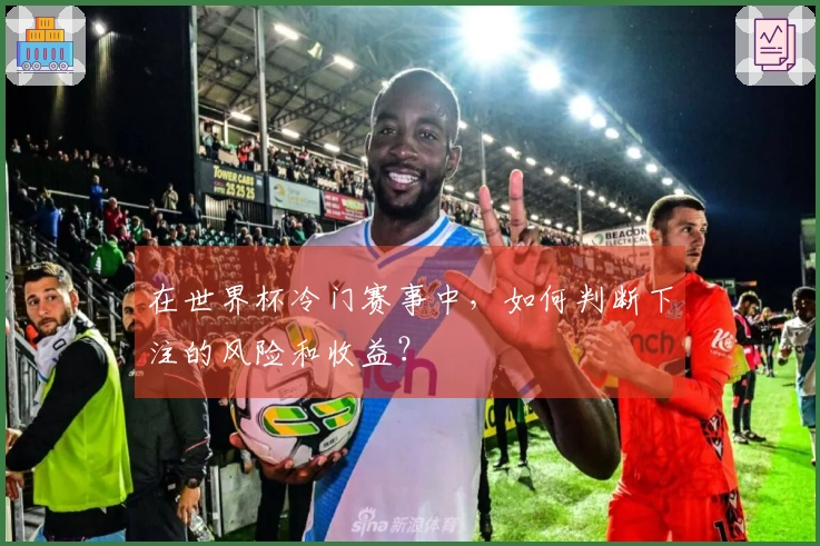 在世界杯冷门赛事中，如何判断下注的风险和收益？