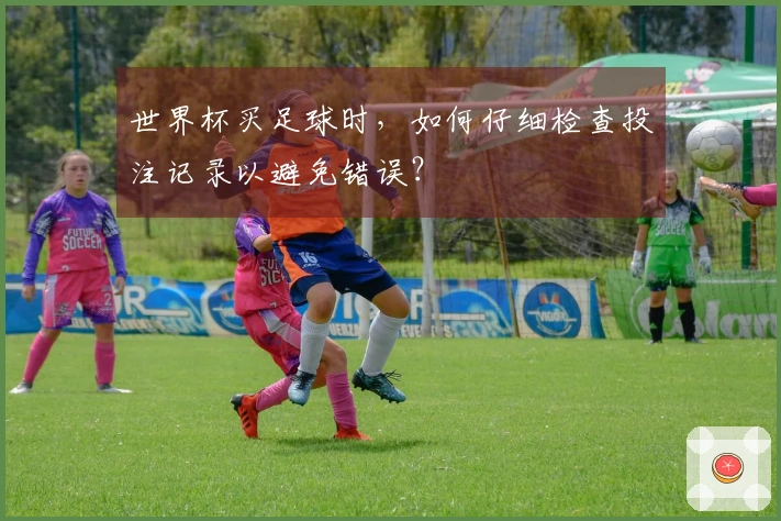 世界杯买足球时，如何仔细检查投注记录以避免错误？